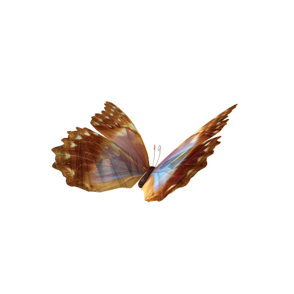 [RIG] Flapping Butterfly