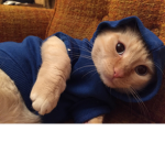 Calvin's Fan Group