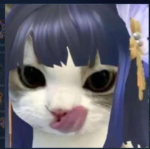 Blushbunniluv