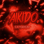 合 aikido
