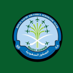 Virtual Saudi Hawks