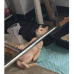 canım ablam ve kardeşi ilayda