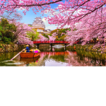 The blossom tree army