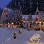 •XmasWonderland•