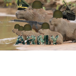 ARMY OF THE CAPYBARAS