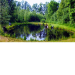 PaddleLon Group
