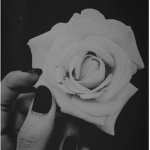 𝓛𝓸𝓼𝓽 𝓘𝓷 𝓜𝔂 𝓣𝓱𝓸𝓾𝓰𝓱𝓽𝓼 ... 💕