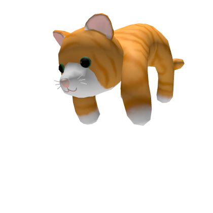 Orange Tabby Cat