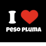 Its panda army <3