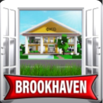 Brookhaven is bad