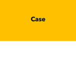 Case Electronic Store