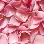 Honey petals!