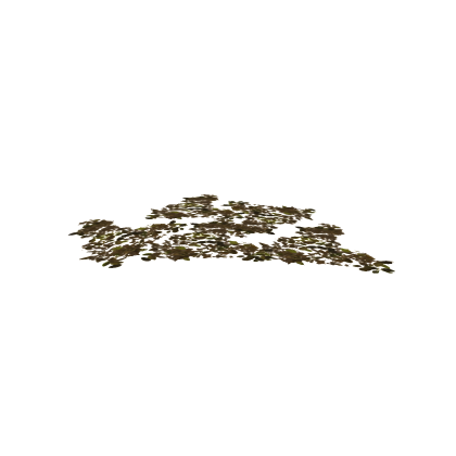 Ground_Leaves_Rain_B