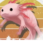 Bright-Axolotl studios