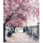 •aesthetic aprils•
