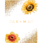 E + M Designs <3
