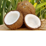 Team Coconut