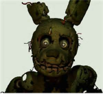 The Freddy's Pizza Group