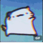 D A N C E Y C A T