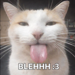BLEH CAT GAMES