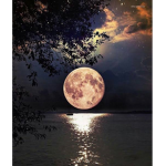 MoonLight01