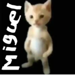 XCheeto GangX