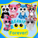 Beanie Boos Forever!