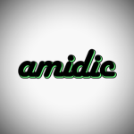 amidic clothing 1
