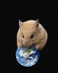 Universe Eaters