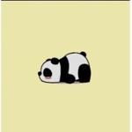 X.panda squad