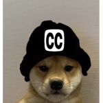 cc Jr’s fan group