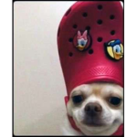 xxalen_AK