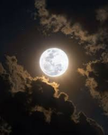 MOONAX Studios