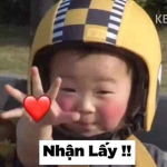 Kyn oi chay di ne oi