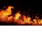The Reign Of Fire