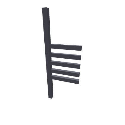 Bunk Bed Ladder