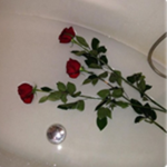 Fallen Roses™