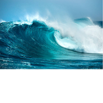 Waves sqaud