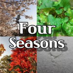 Four Seasons Stock
