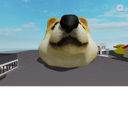 duck and doge hangout