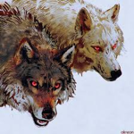 the warrior wolf pack