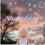 ~Shakedown~