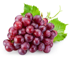 The Berry Family