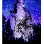 WESTHAWK16'S WOLFPACK