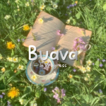 Buava