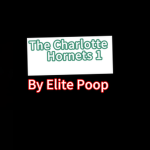 The Charlotte Hornets 1