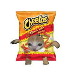 SPICY FOOD ONLY