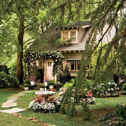 avivva homestore ☆