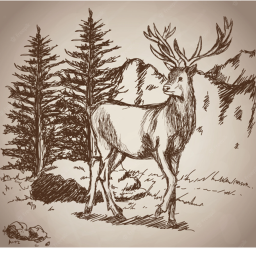 DeerStorm🦌 Home Store🌲