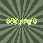 ʚElfgangɞ